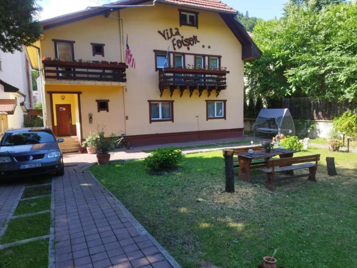 Villa Foisor Буштени Экстерьер фото