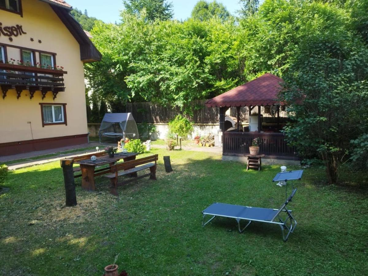 Villa Foisor Буштени Экстерьер фото